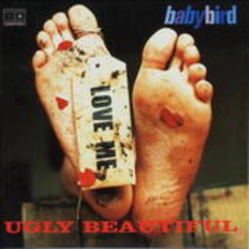 Baby Bird – Ugly Beautiful