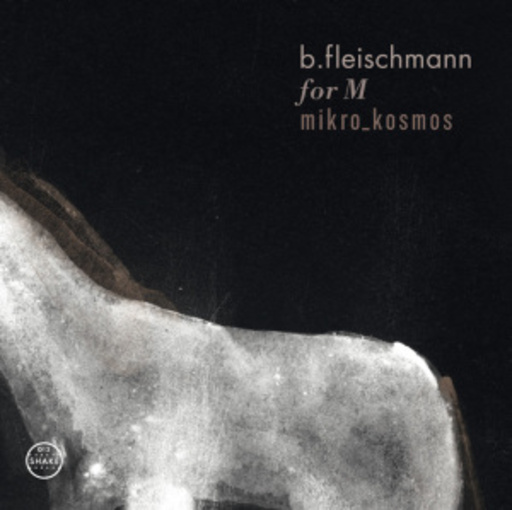 B. Fleischmann – For M/Mikro Kosmos