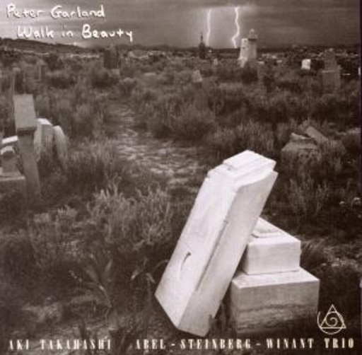Aki Takahshi & Abel-Steinberg-Winanrt Trio – Walk In Beauty