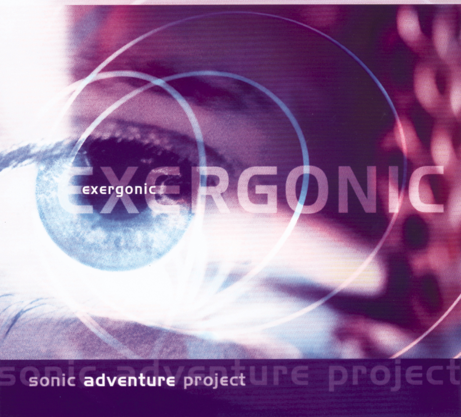 Sonic Adventure Project – Exergonic