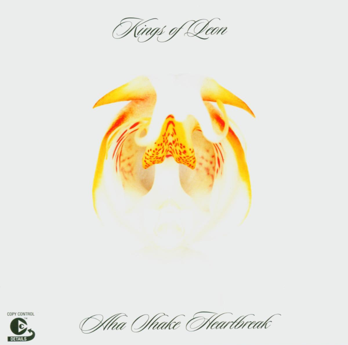 Kings Of Leon – Aha Shake Heartbreak