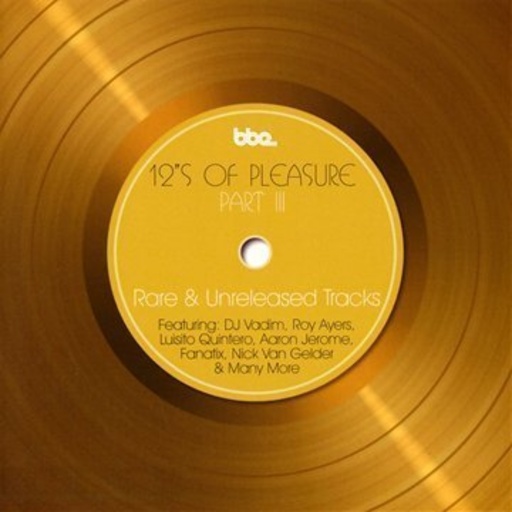 Diverse – 12 Inches Of Plaesure III