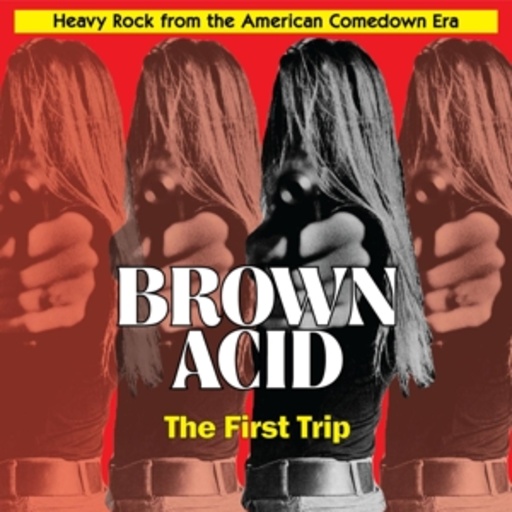 Diverse – Brown Acid - The First Trip