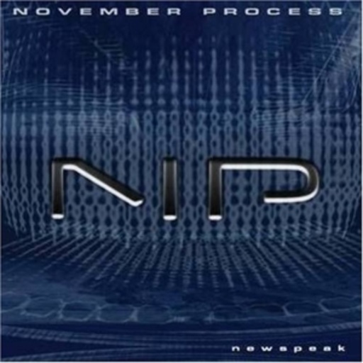 November Process – Newspeak