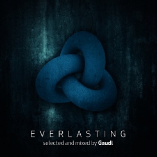 Diverse – Everlasting