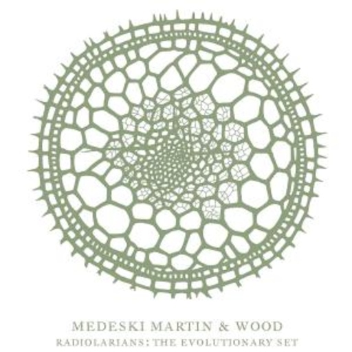 Medeski, Martin & Wood – Radiolarians - The Evolutionary Set