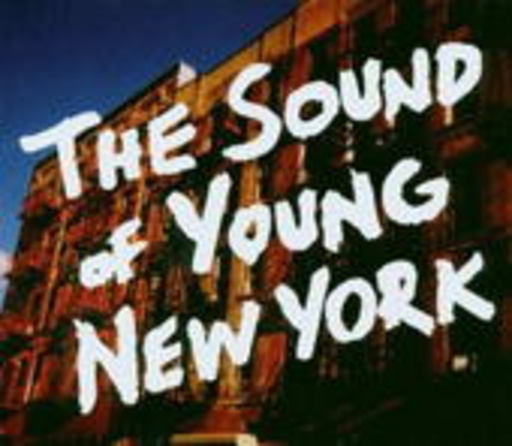 Diverse – The Sound Of Young New York