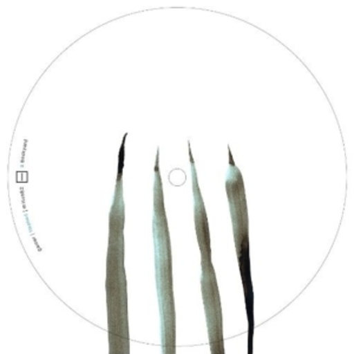 Gaiser – Flashed EP
