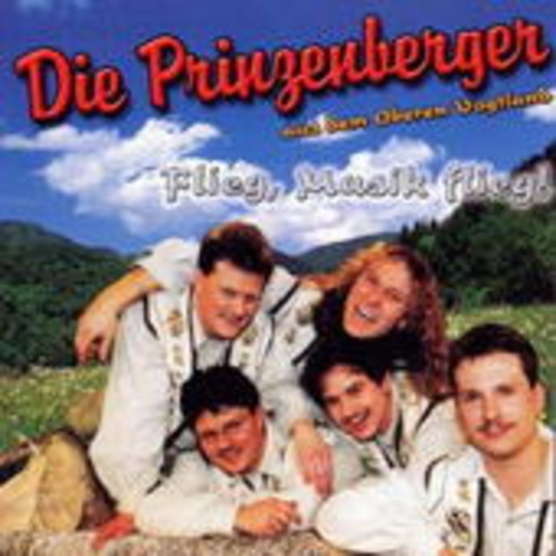 Die Prinzenberger – Flieg, Musik flieg!