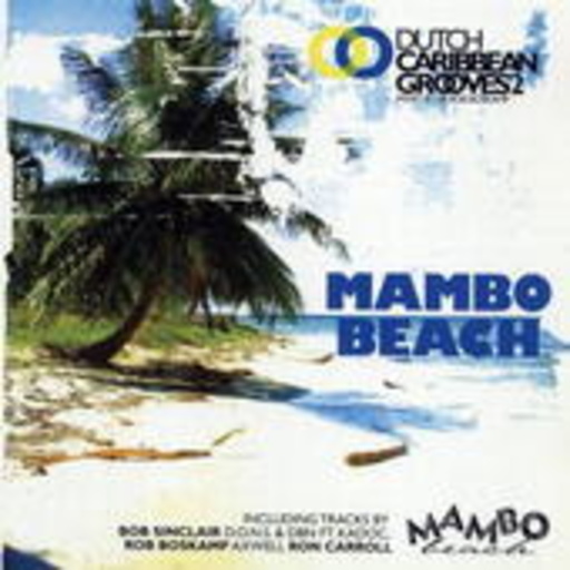 Diverse – Dutch Carribean Grooves 2 (Mixed By Rob Boskamp)