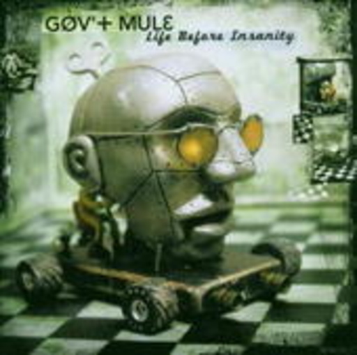 Gov't Mule – Life Before Insanity