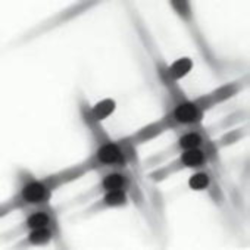 Gregor Samsa – 27:36+2Dot