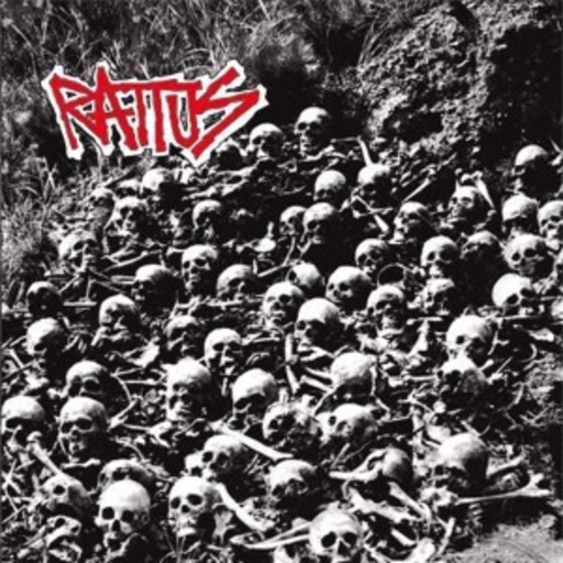 Rattus – Rattus