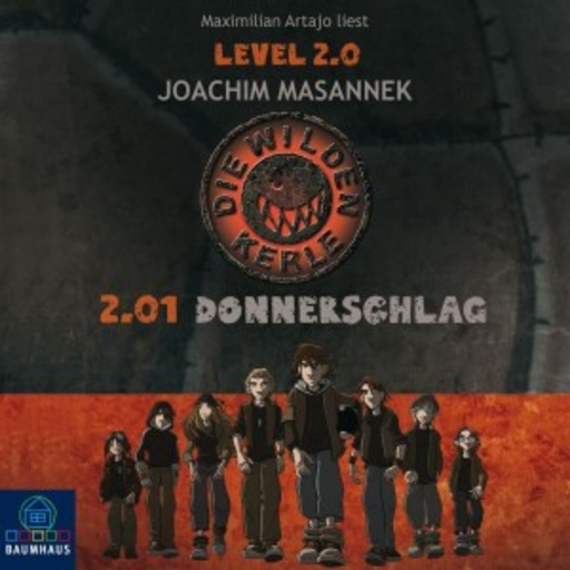 Die wilden Kerle – Level 2.0