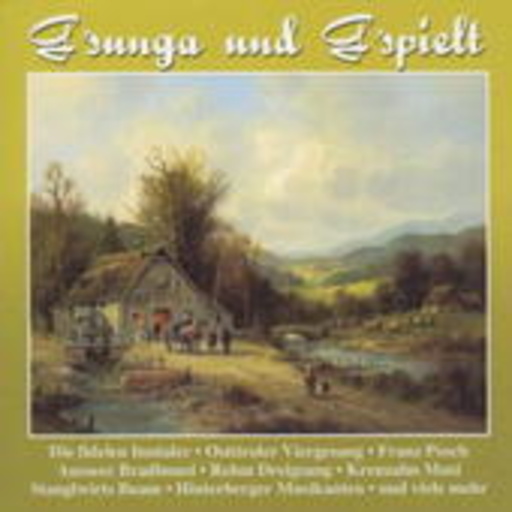 Diverse – G'sunga und g'spielt