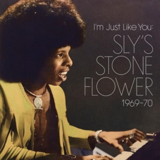 Diverse – I'm Just Like You/Sly's Stone Flower 1969-70