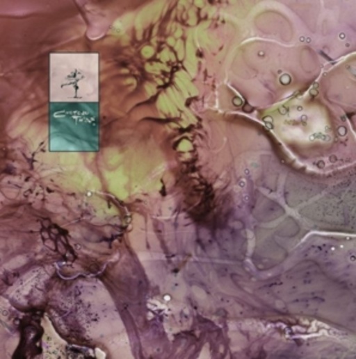 Cocteau Twins – Treasure - Boxed Edition