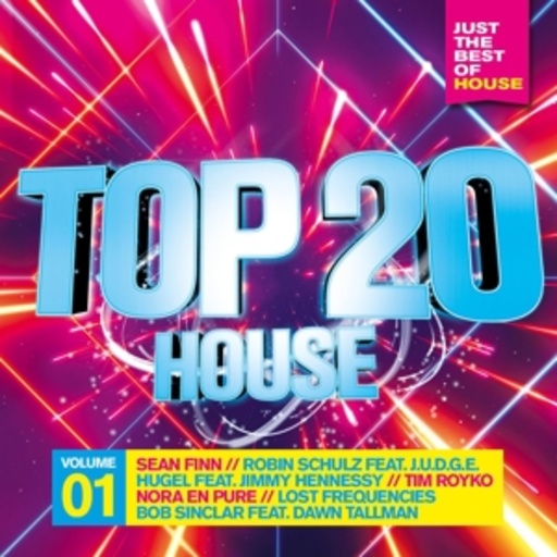 Diverse – Top 20 - House Vol. 1