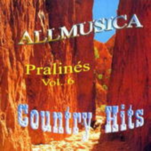 Diverse – Allmusica Pralinés Vol. 6 - Country Hits