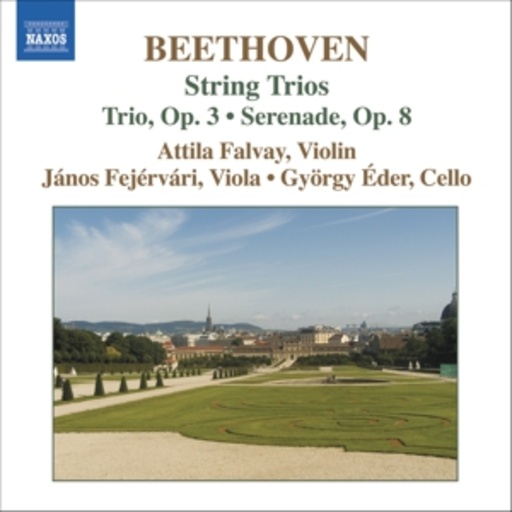 Attila Falvay – String Trios