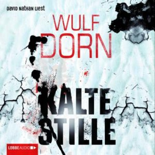 Wulf Dorn – Kalte Stille