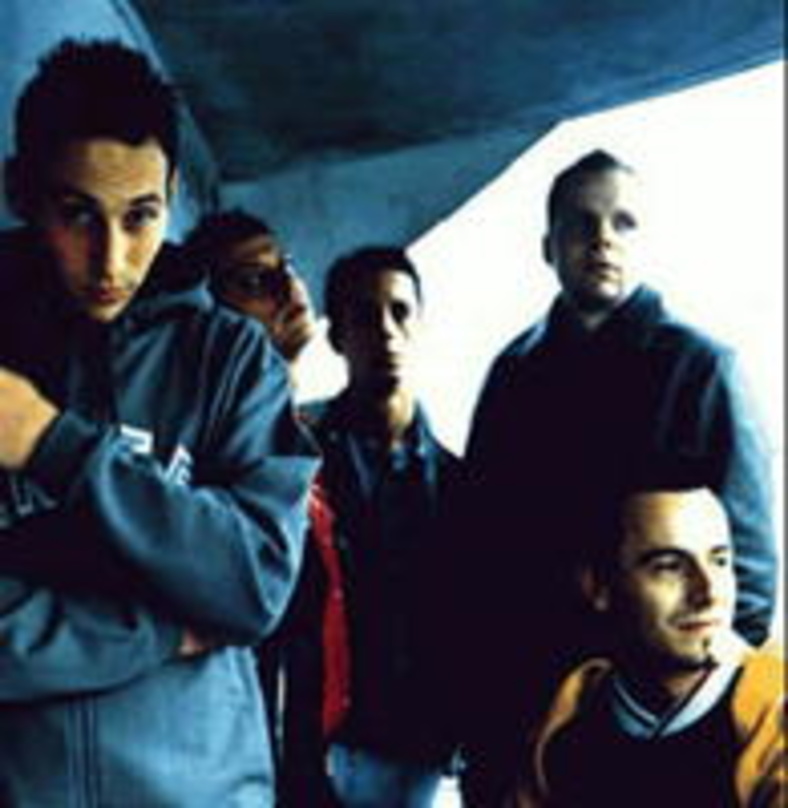 Stimmungsgaranten auf dem Highfield: Beatsteaks