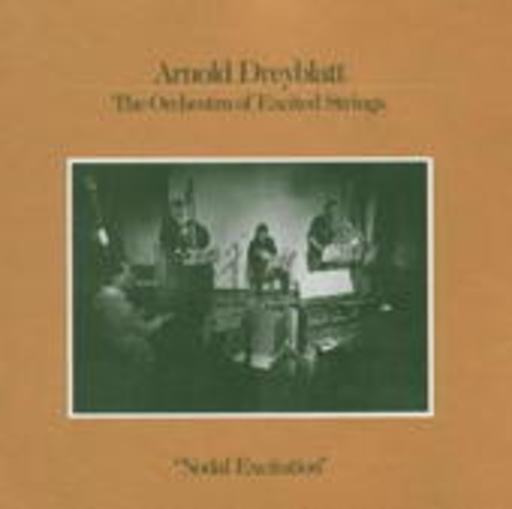 Arnold Dreyblatt – Nodal Excitation