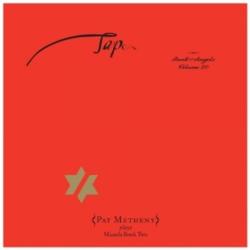 Pat Metheny – Tap - Book Of Angels Vol. 20