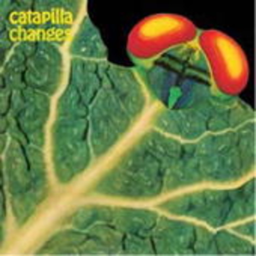 Catapilla – Changes