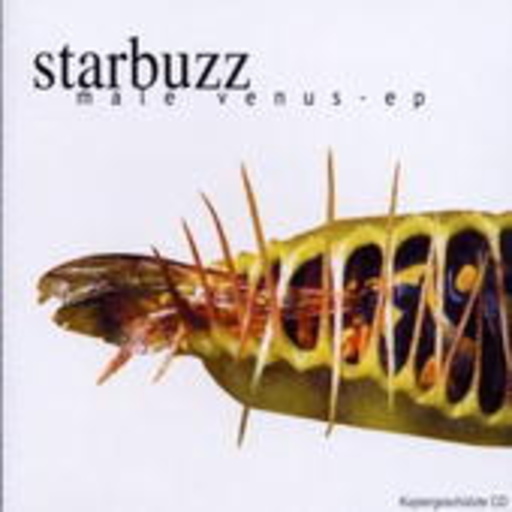 Starbuzz – Male Venus