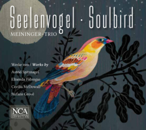 Meininger Trio – Seelenvogel