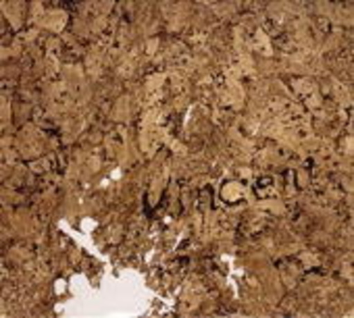 Vincent – It's Only Wasteland, Mum!