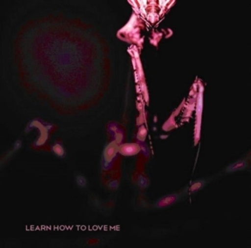 Stareaway – Learn How To Love Me
