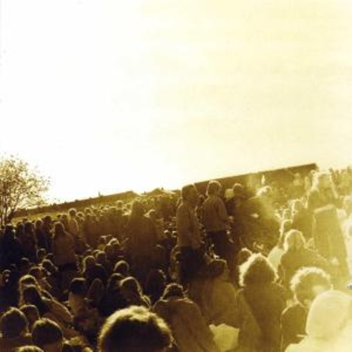 Träd Gräs Och Stenar – Gärdet 12.6.1970