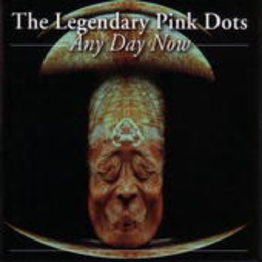 The Legendary Pink Dots – Any Day Now
