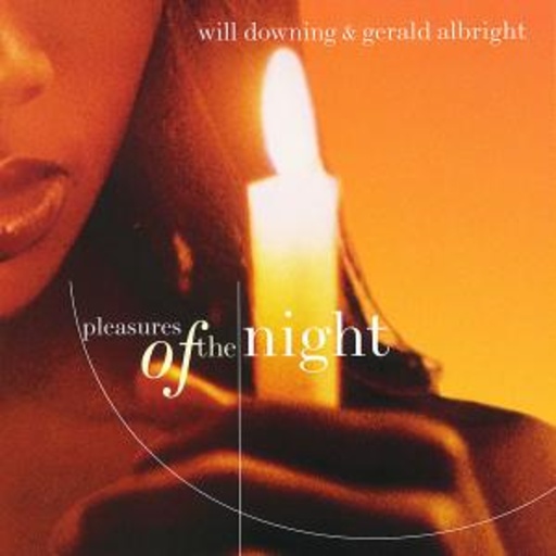Will Downing – Pleasures Of The Night