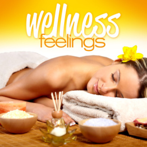 Diverse – Wellness Feelings