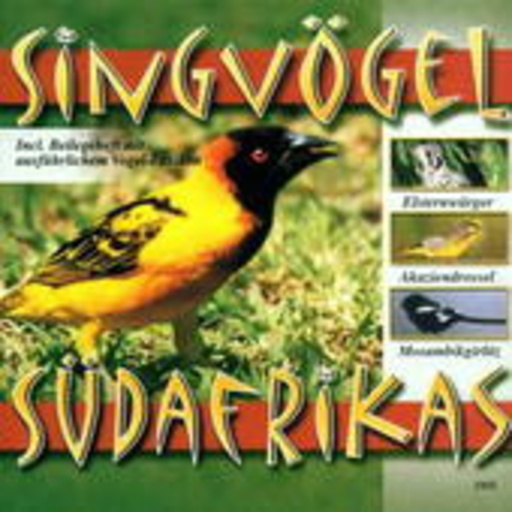 Diverse – Singvögel Südafrikas