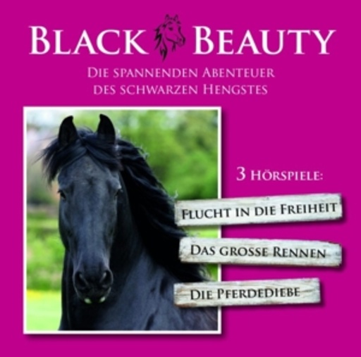 Diverse – Black Beauty: Flucht in die Freiheit/Das große Rennen/Die Pferdediebe