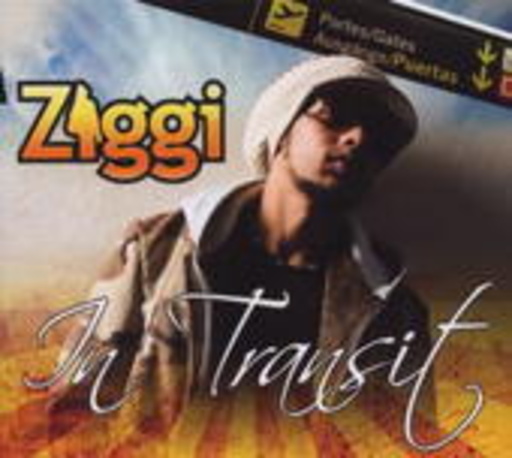 Ziggi – In Transit