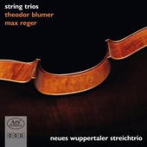 Neues Wuppertaler Streichtrio – String Trios