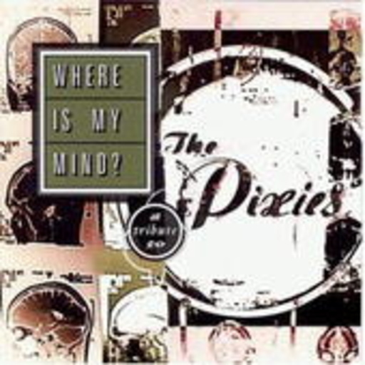 Diverse – Where Is My Mind - A Tribute To The Pixies