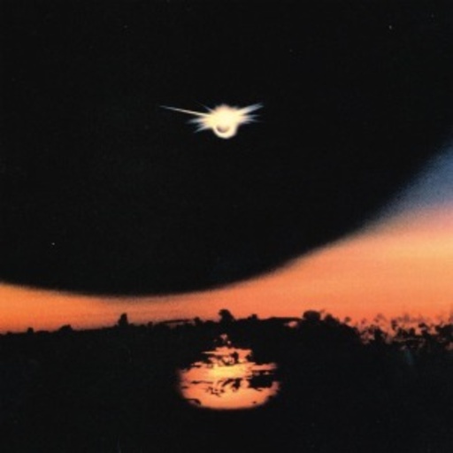 Mirroring – Foreign Body