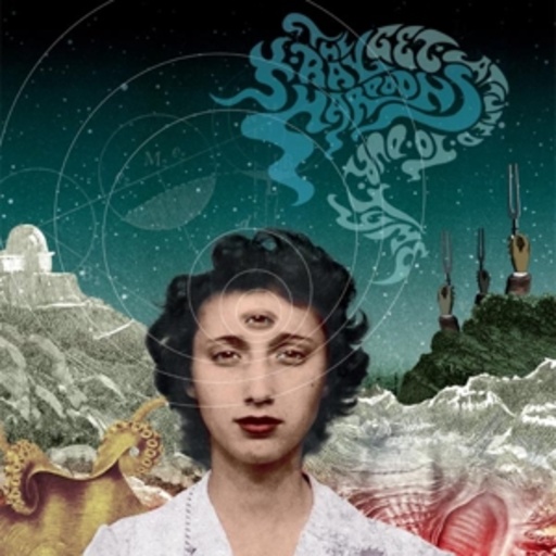 The X-Ray Harpoons – Get Attuned To Our Tyme