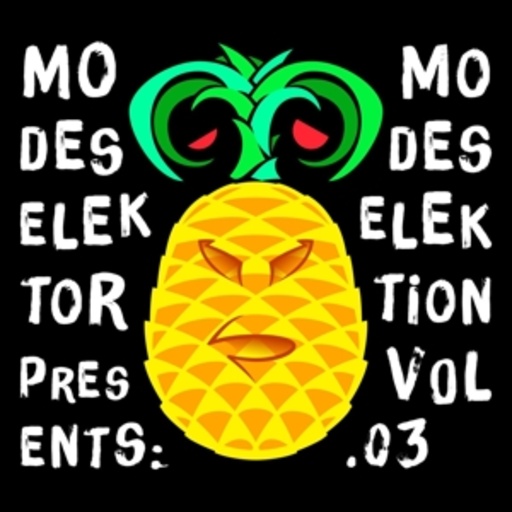 Diverse – Modeselektion Vol. 3