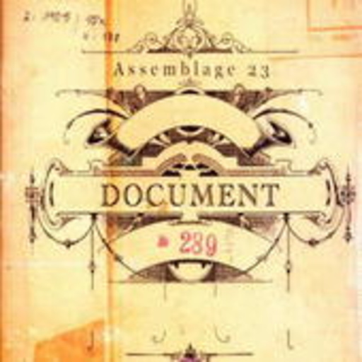 Assemblage 23 – Document