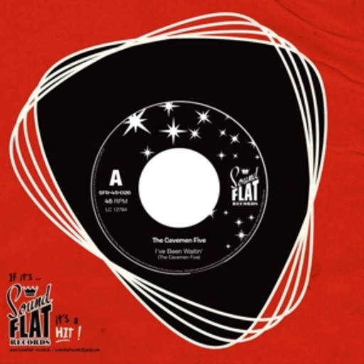 The Cavemen V – I've Been Waitin'