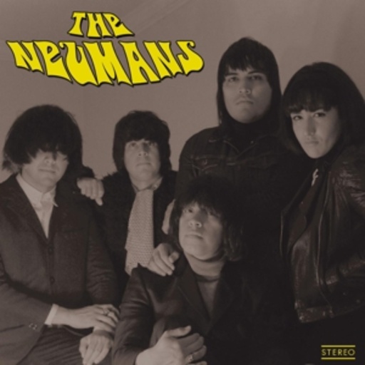 The Neumans – The Neumans