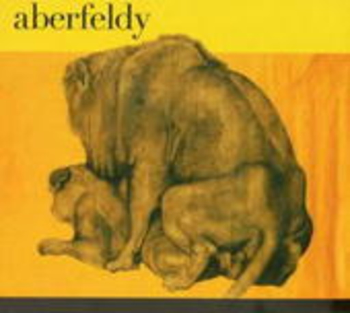 Aberfeldy – Young Forever