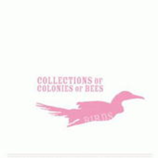 Collection Of Colonies Of Bees – Birds